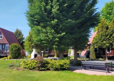 Wolny domek nr 1 od 20.06 - 4.07.2026